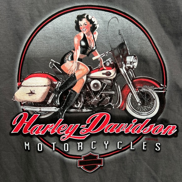 Harley Davidson Mens L Pin Up Girl Motorcycle Graphic Tee Gray Grand Junction CO - Picture 1 of 10